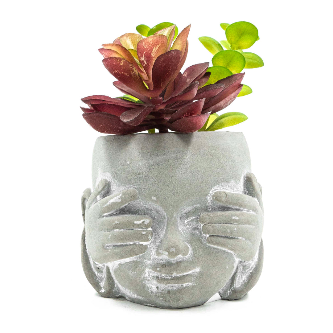 See No Evil Pot With Faux Succulent