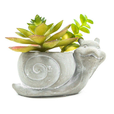 Snail Pot With Faux Succulent