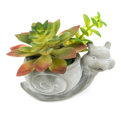 Snail Pot With Faux Succulent