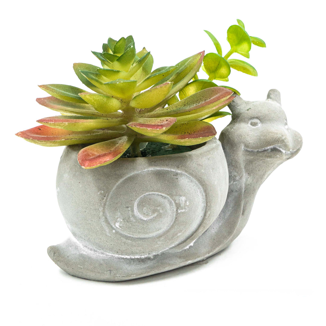 Snail Pot With Faux Succulent