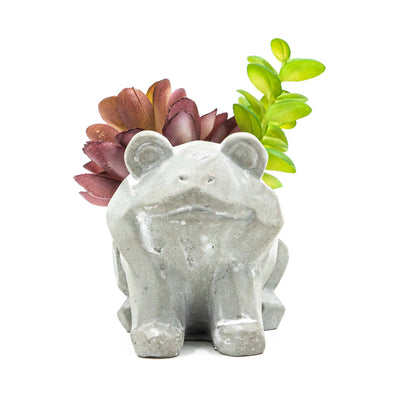 Frog Pot With Faux Succulent