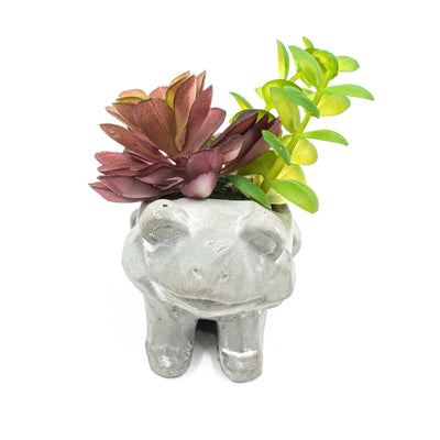 Frog Pot With Faux Succulent