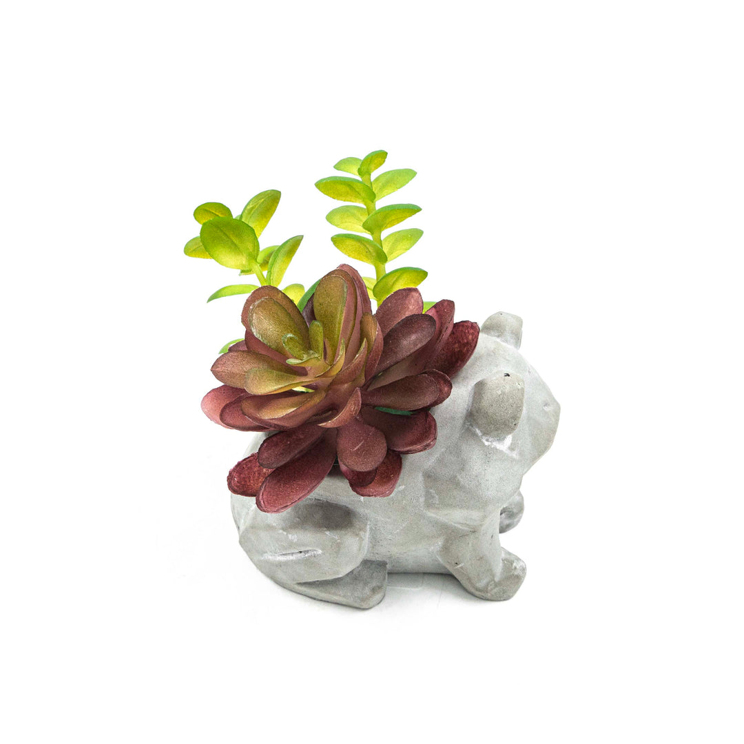 Frog Pot With Faux Succulent