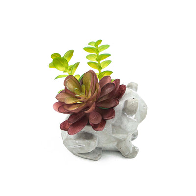 Frog Pot With Faux Succulent