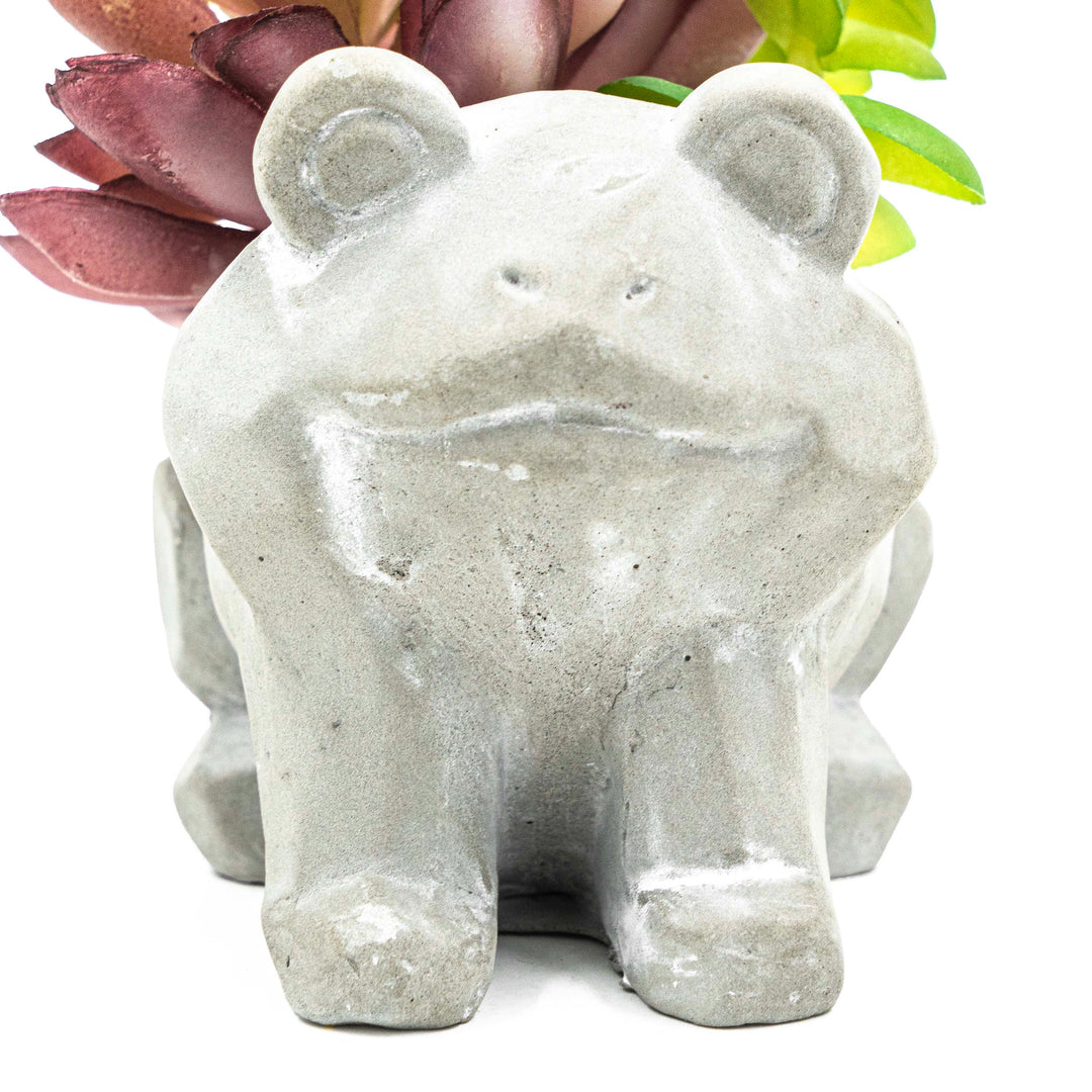 Frog Pot With Faux Succulent