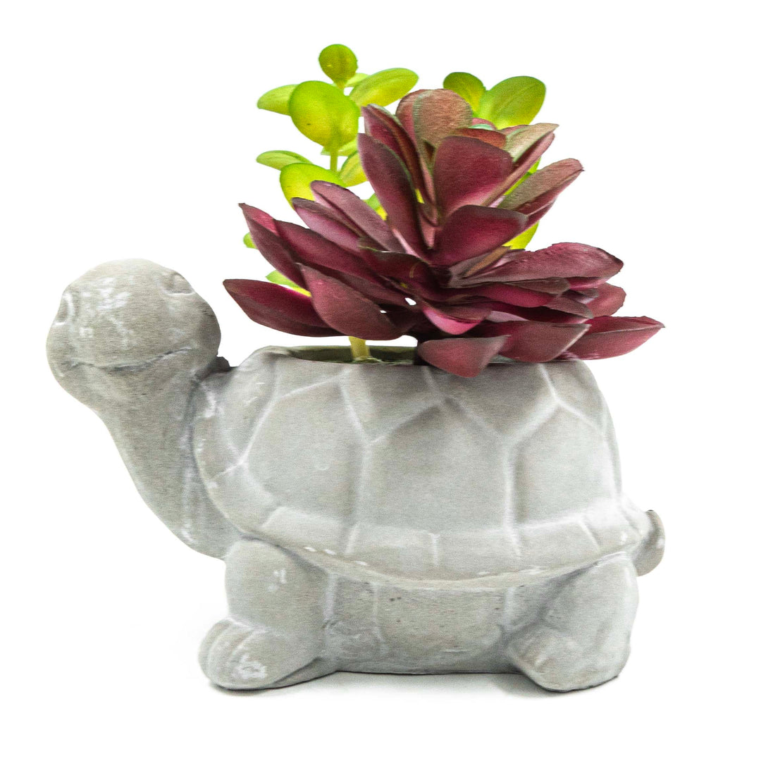 Turtle Pot With Faux Succulent