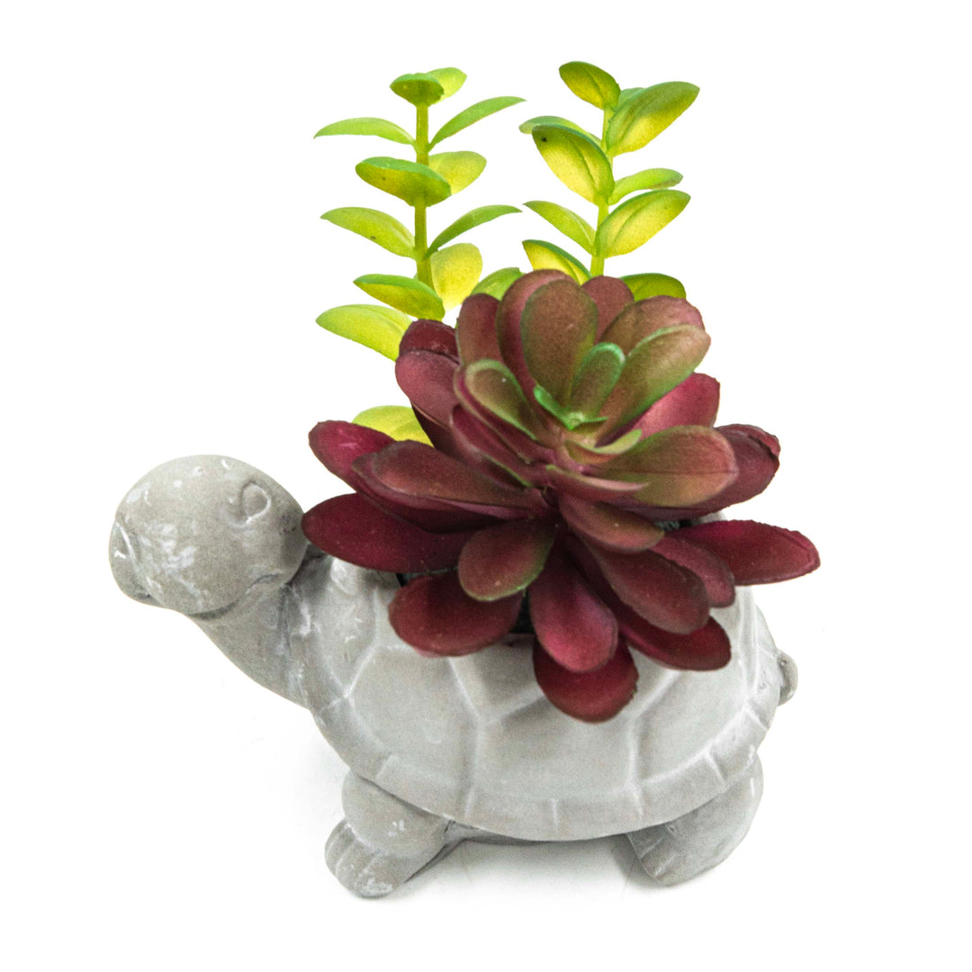 Turtle Pot With Faux Succulent