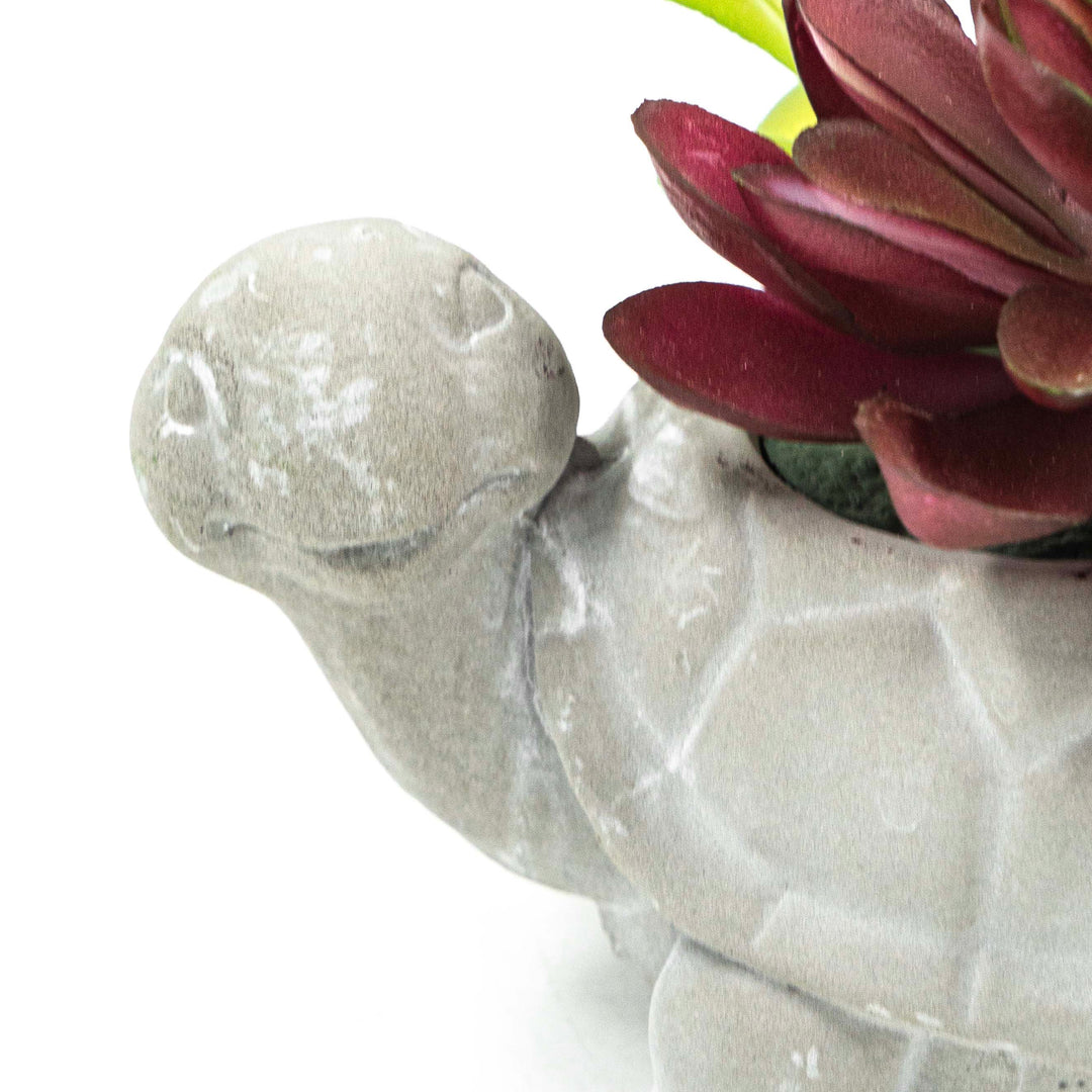 Turtle Pot With Faux Succulent