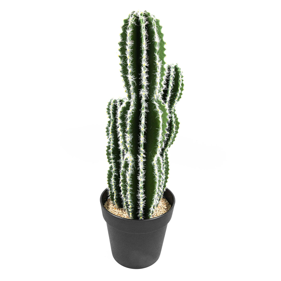 Faux Cactus Plant White Vein Leaf With Pot