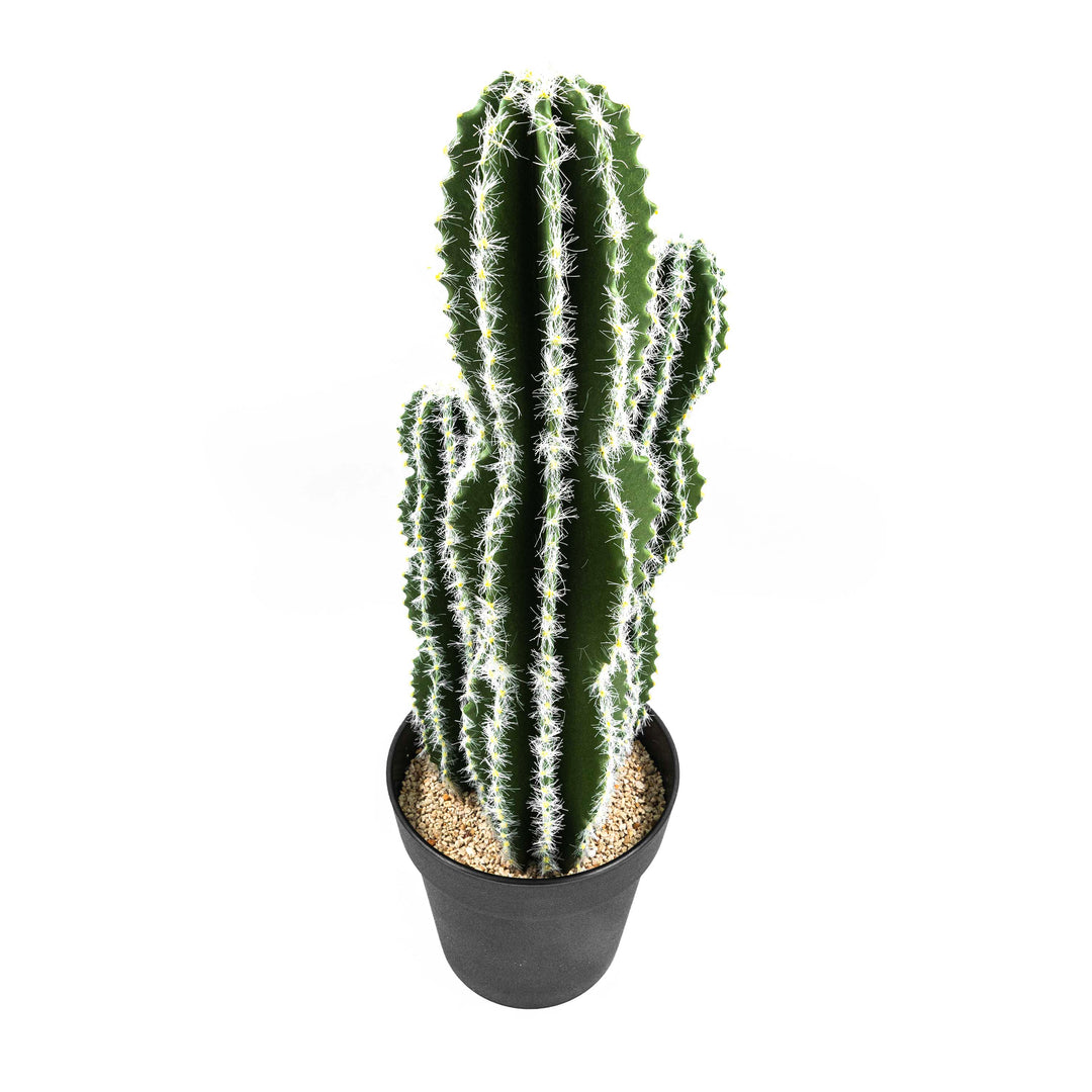 Faux Cactus Plant White Vein Leaf With Pot