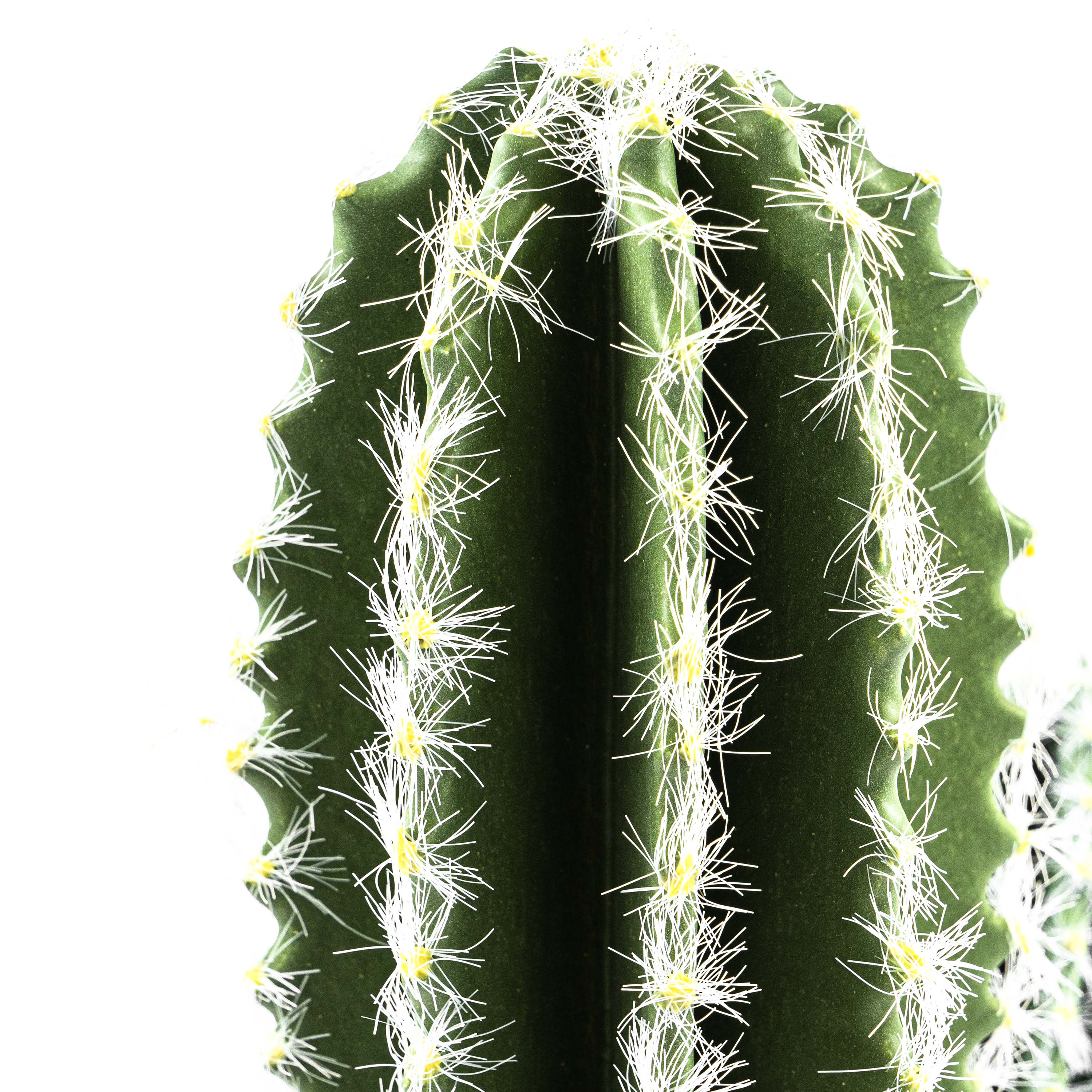 Faux Cactus Plant White Vein Leaf With Pot