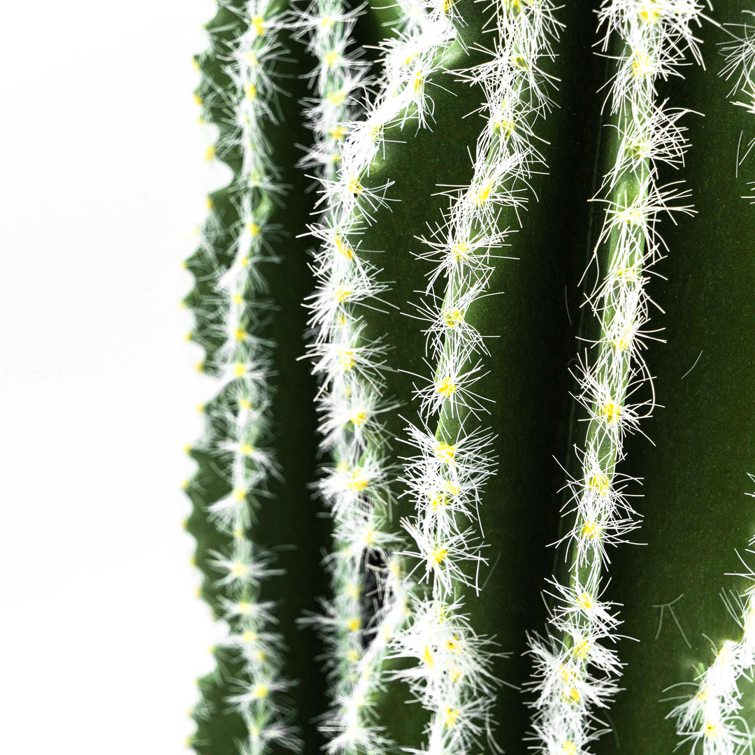 Faux Cactus Plant White Vein Leaf With Pot