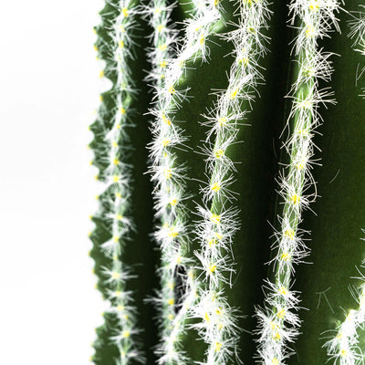 Faux Cactus Plant White Vein Leaf With Pot