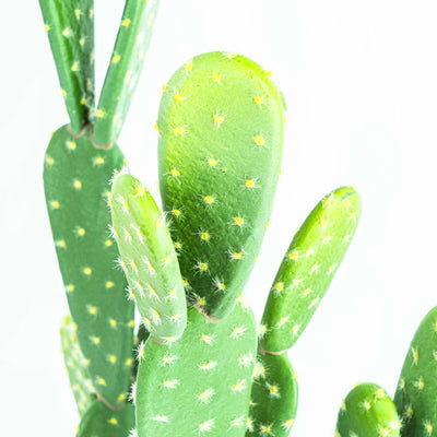 Faux Cactus Plant Small Leaf With Pot