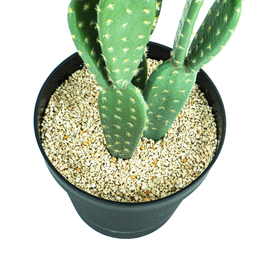 Faux Cactus Plant Small Leaf With Pot