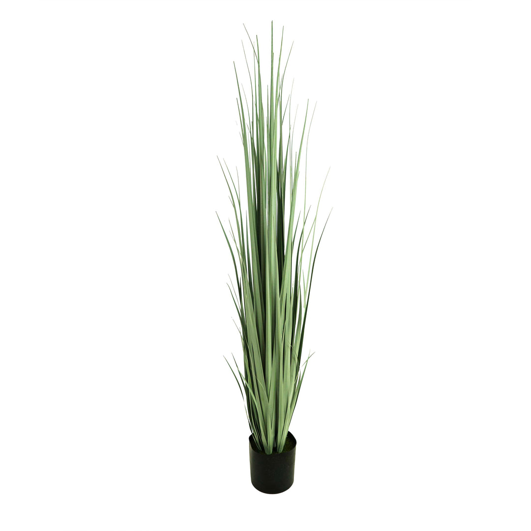 Faux Gladiolus Grass With Pot - 6 Feet