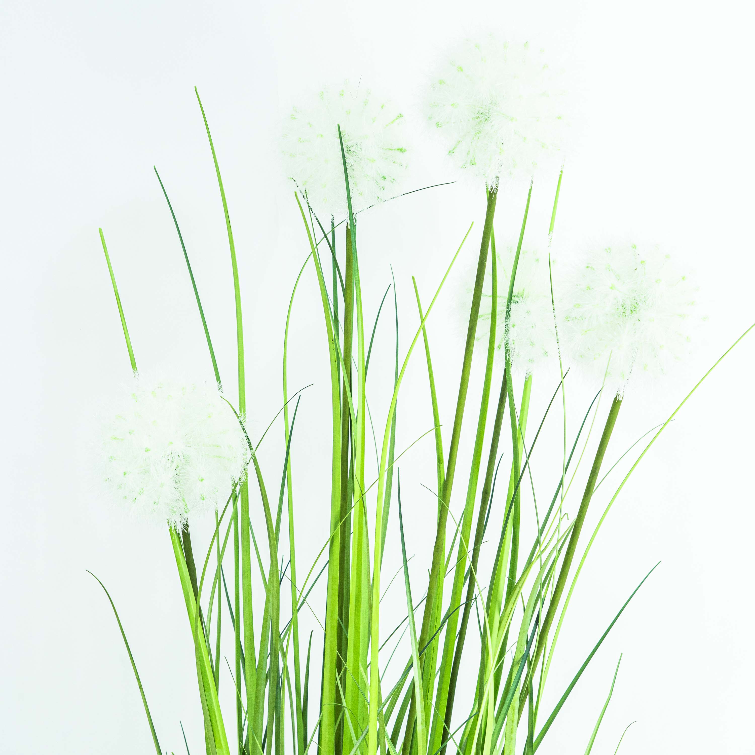 Faux Dandelion Grass With Pot - 4 Feet
