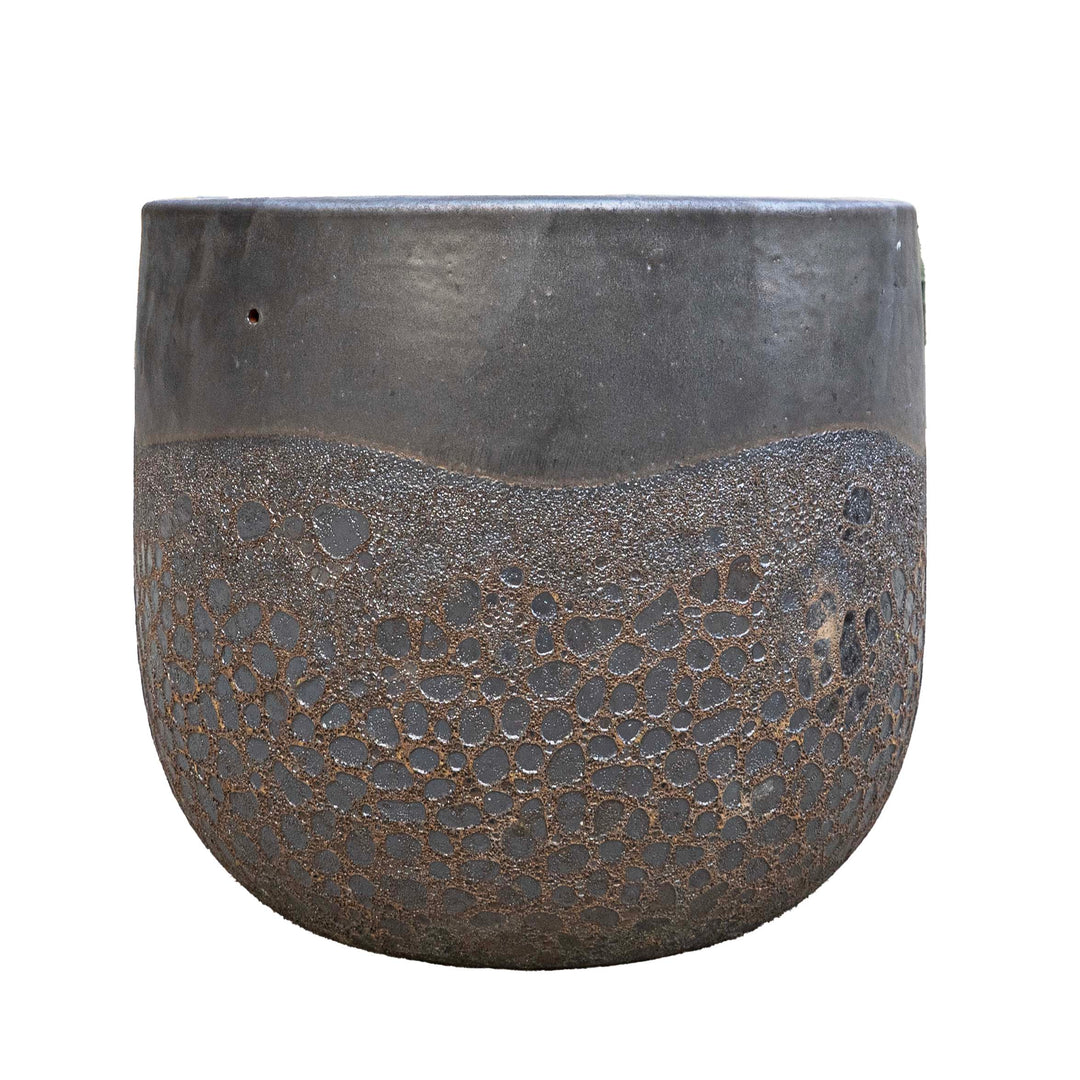 AVIERA POT