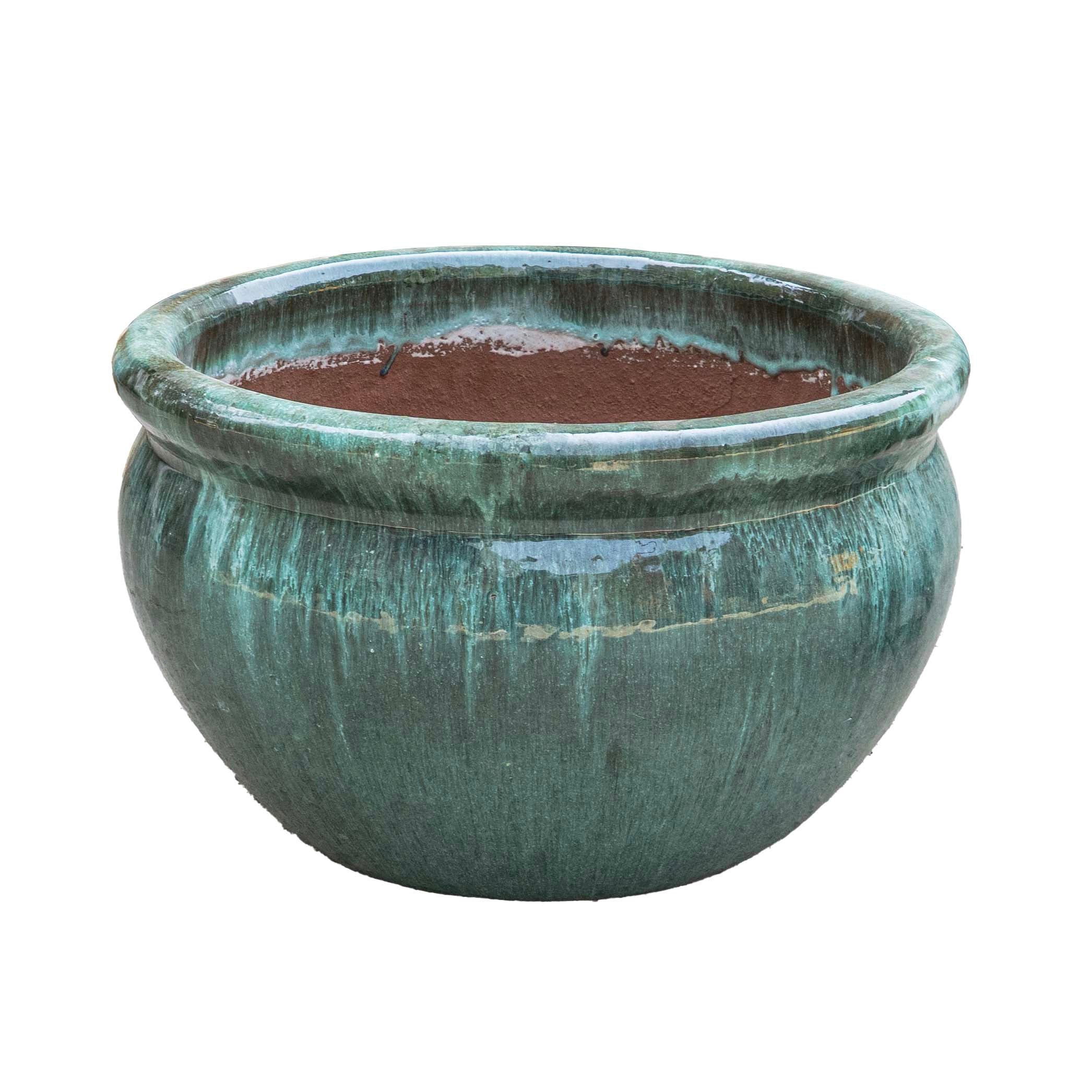 Vetle Pot Moss