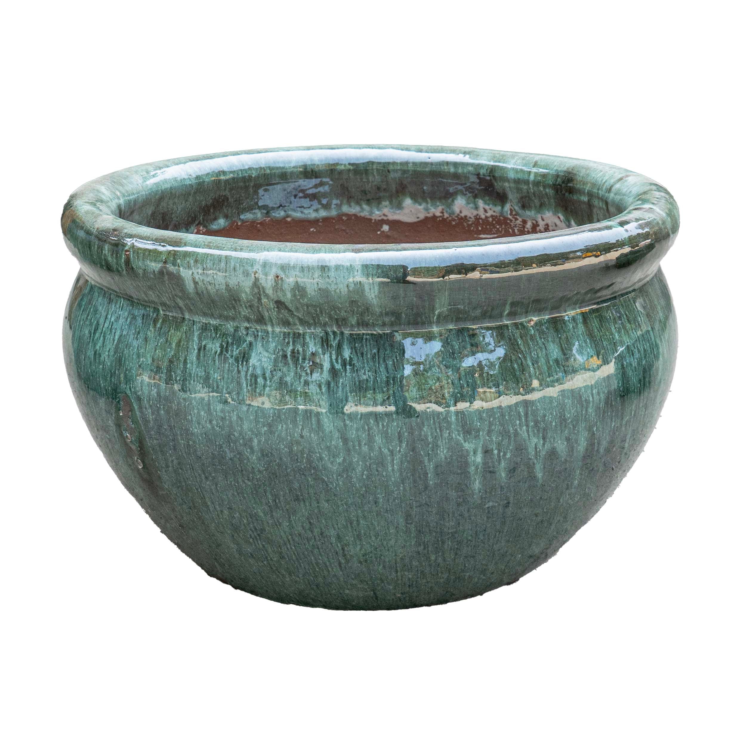 Vetle Pot Moss