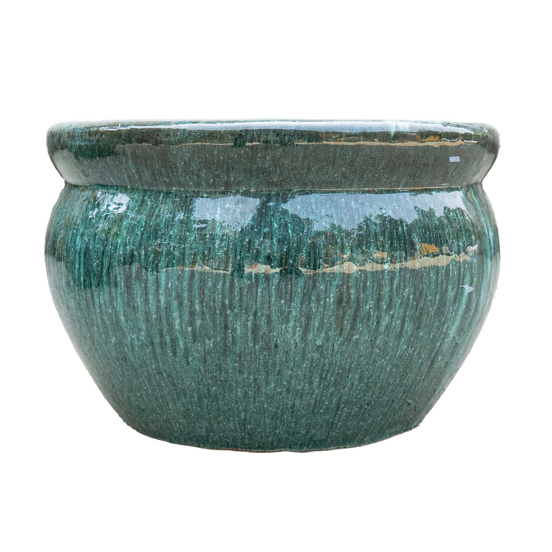 Vetle Pot Moss