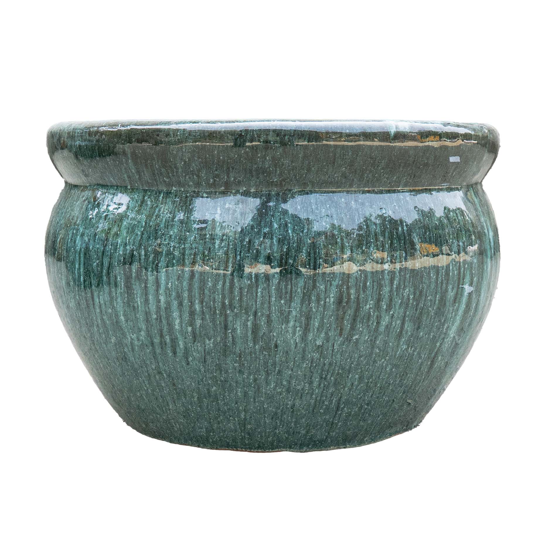Vetle Pot Moss