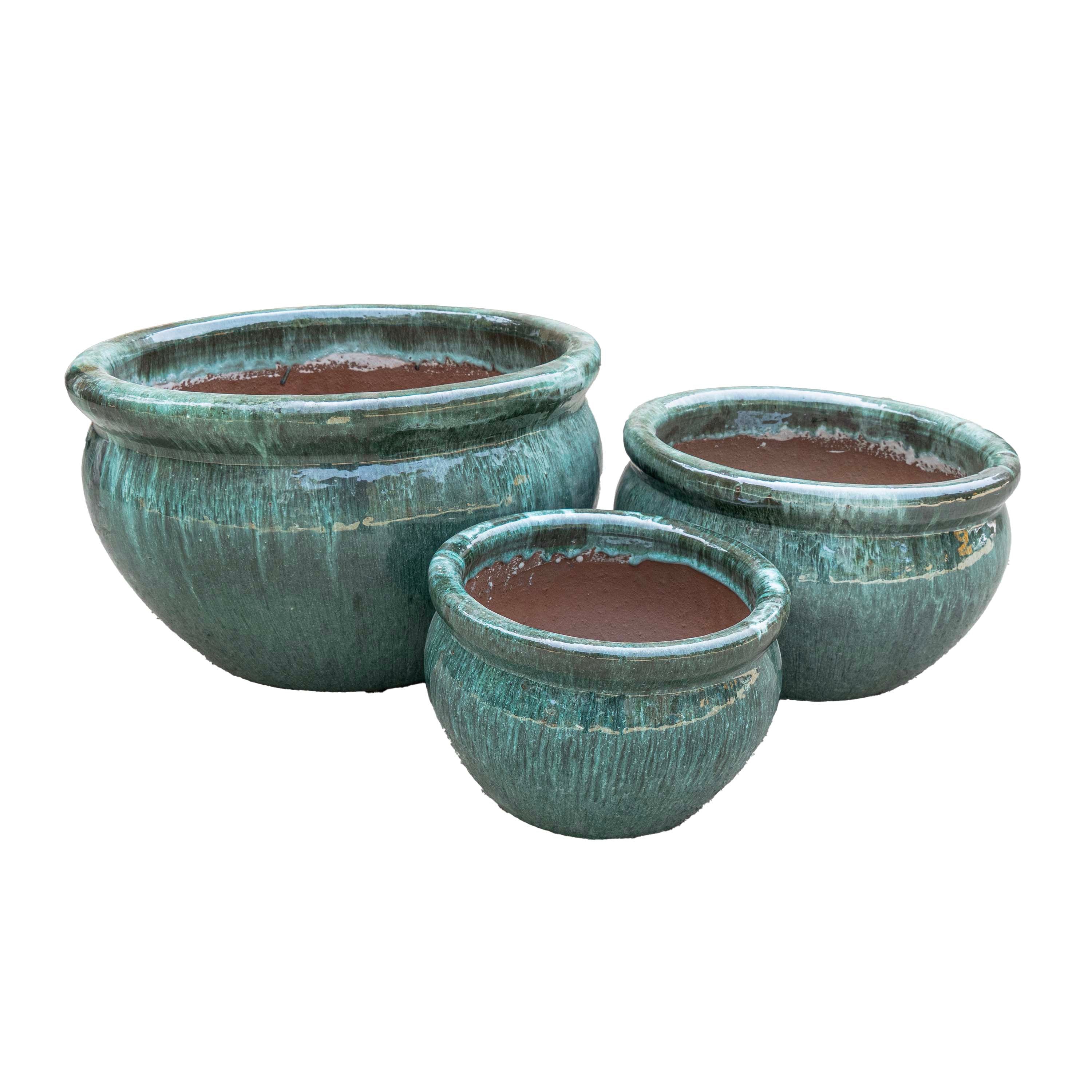 Vetle Pot Moss