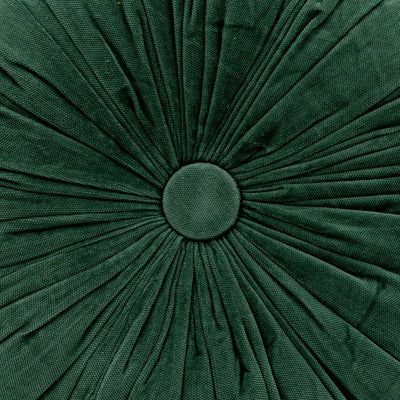Cuddle Eucalyptus Velvet Round Cushion