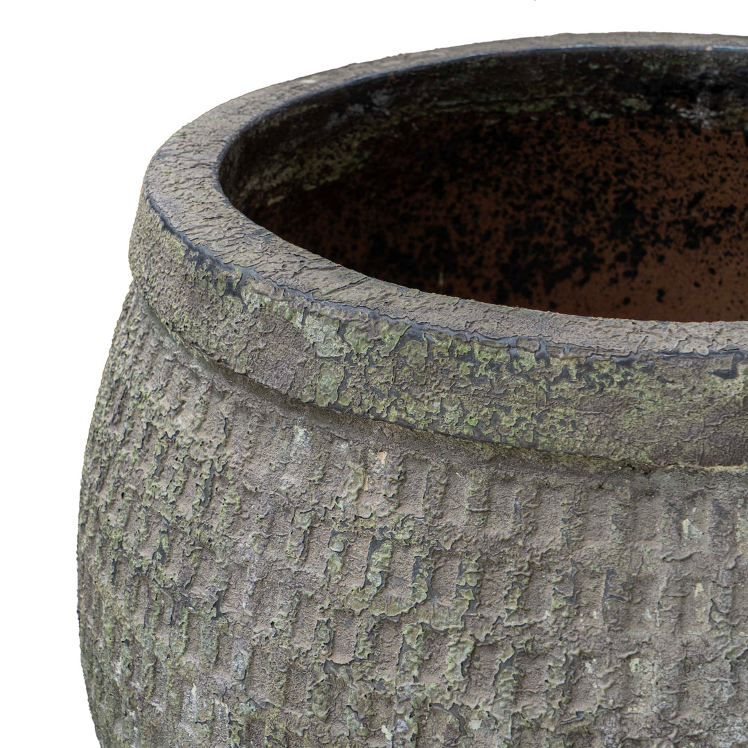 MYRTLE POT