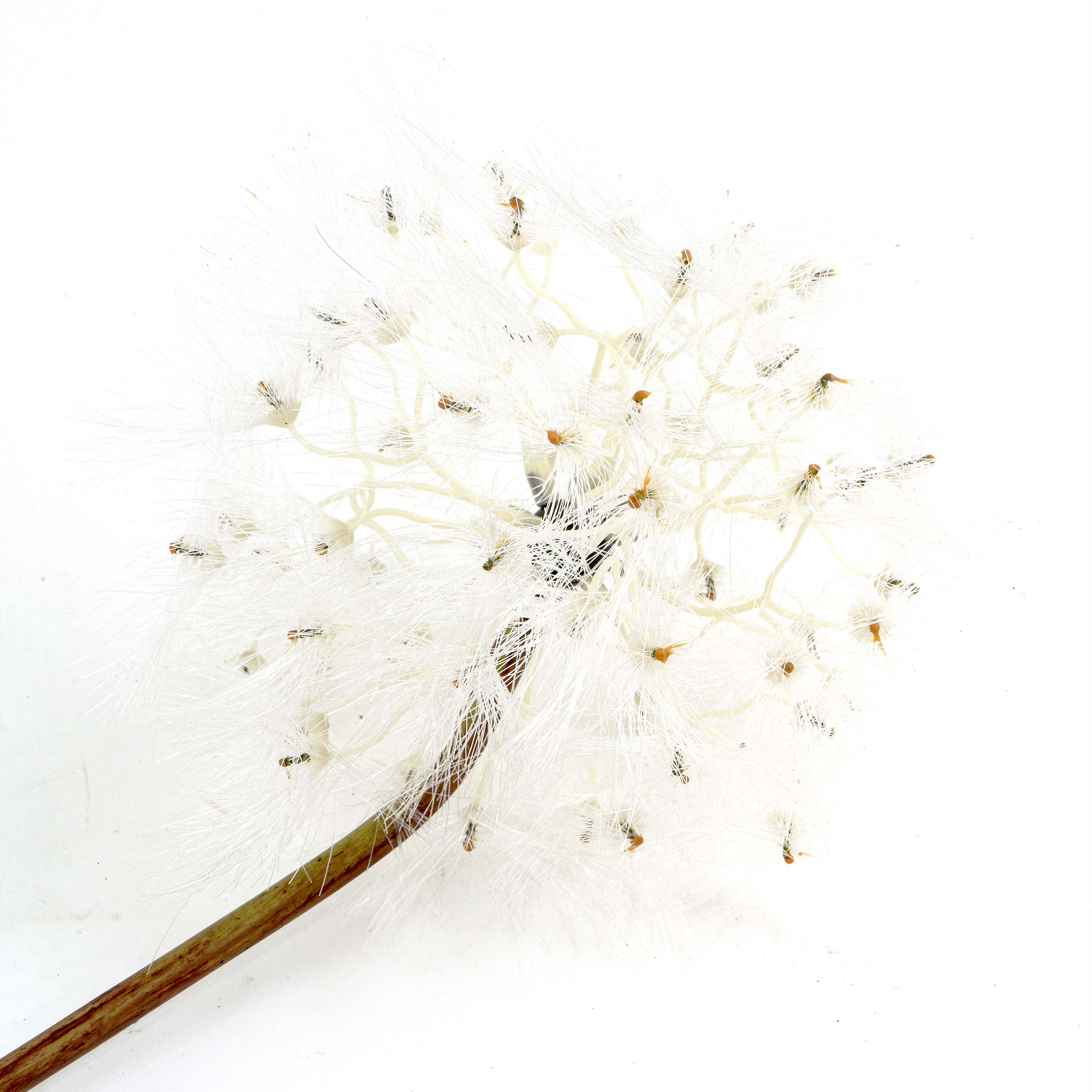 Faux Dandelion White Flower