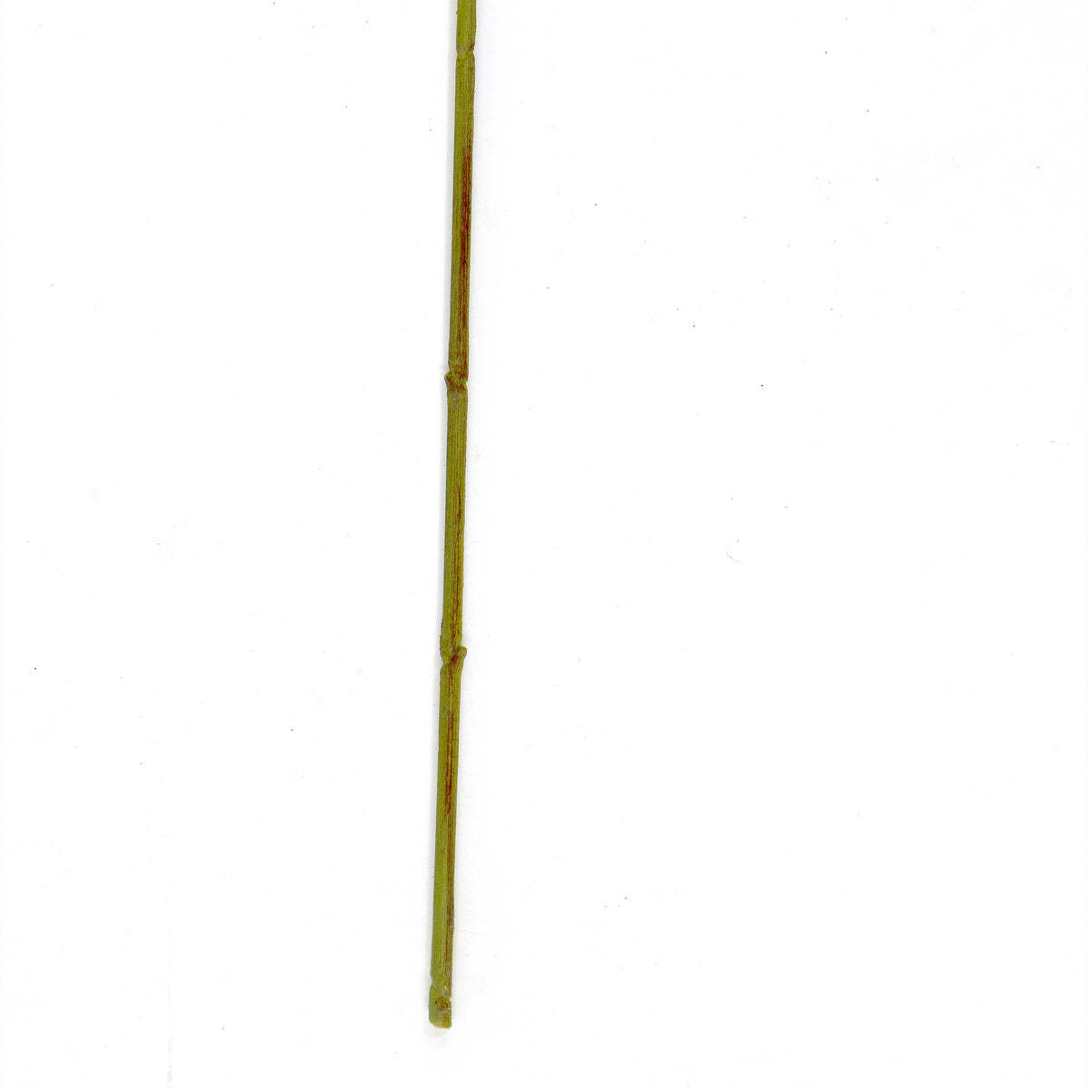 Faux Eucalyptus Stem with Flower Buds