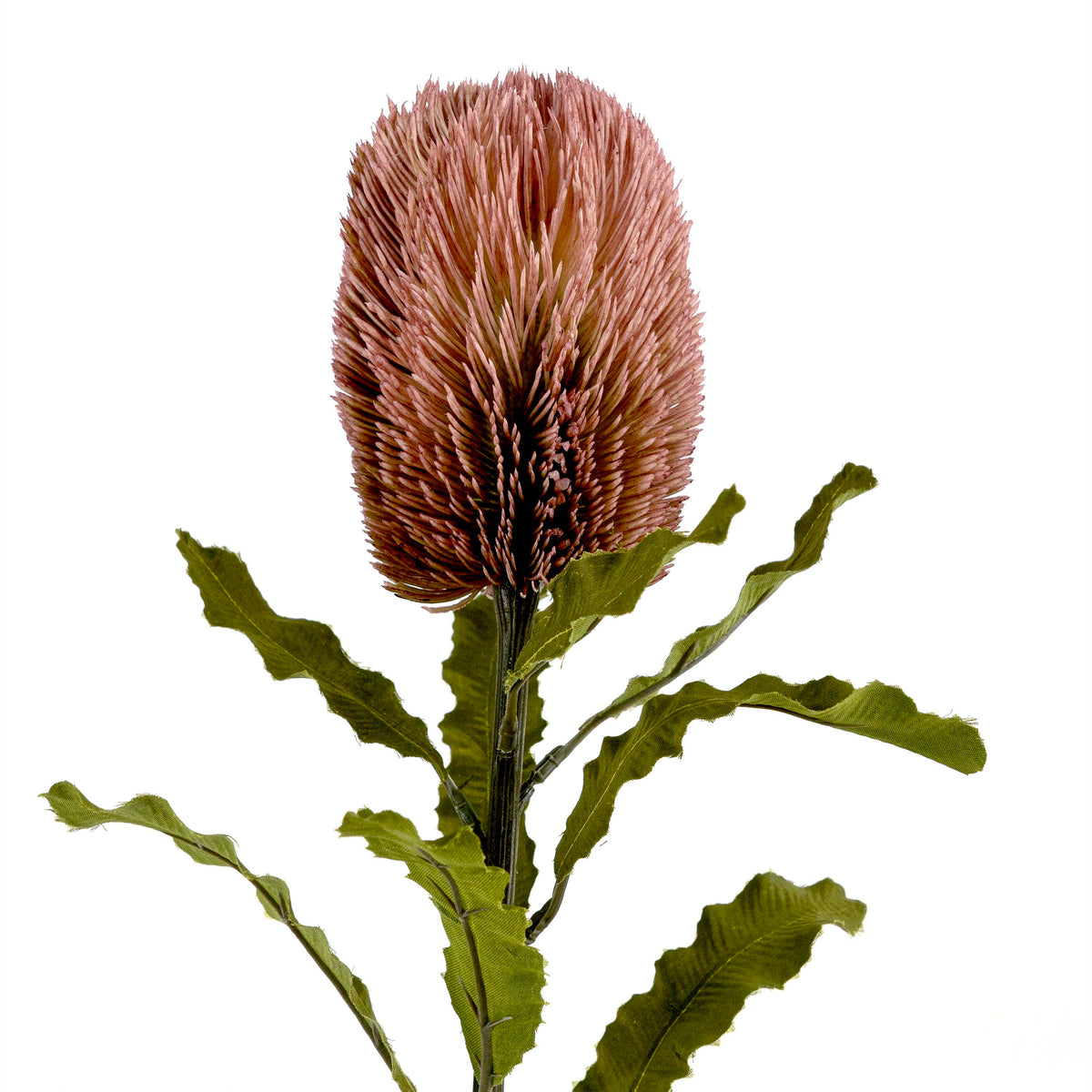 Faux Banksia Flower With Foliage in Pink