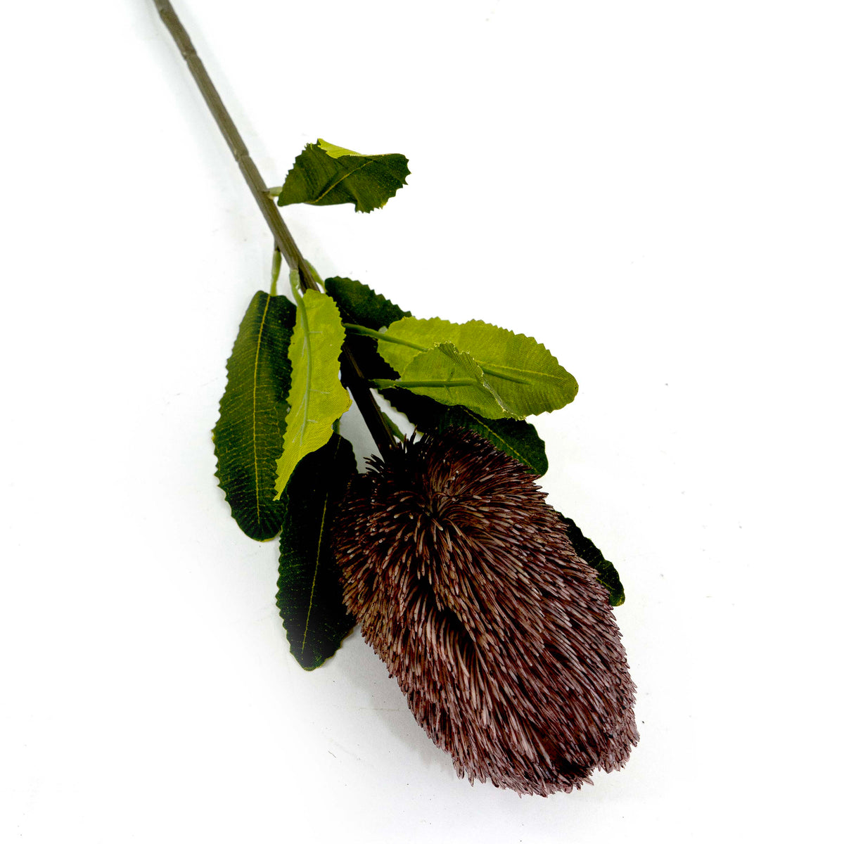 Faux Banksia Flower With Foliage in Lilac