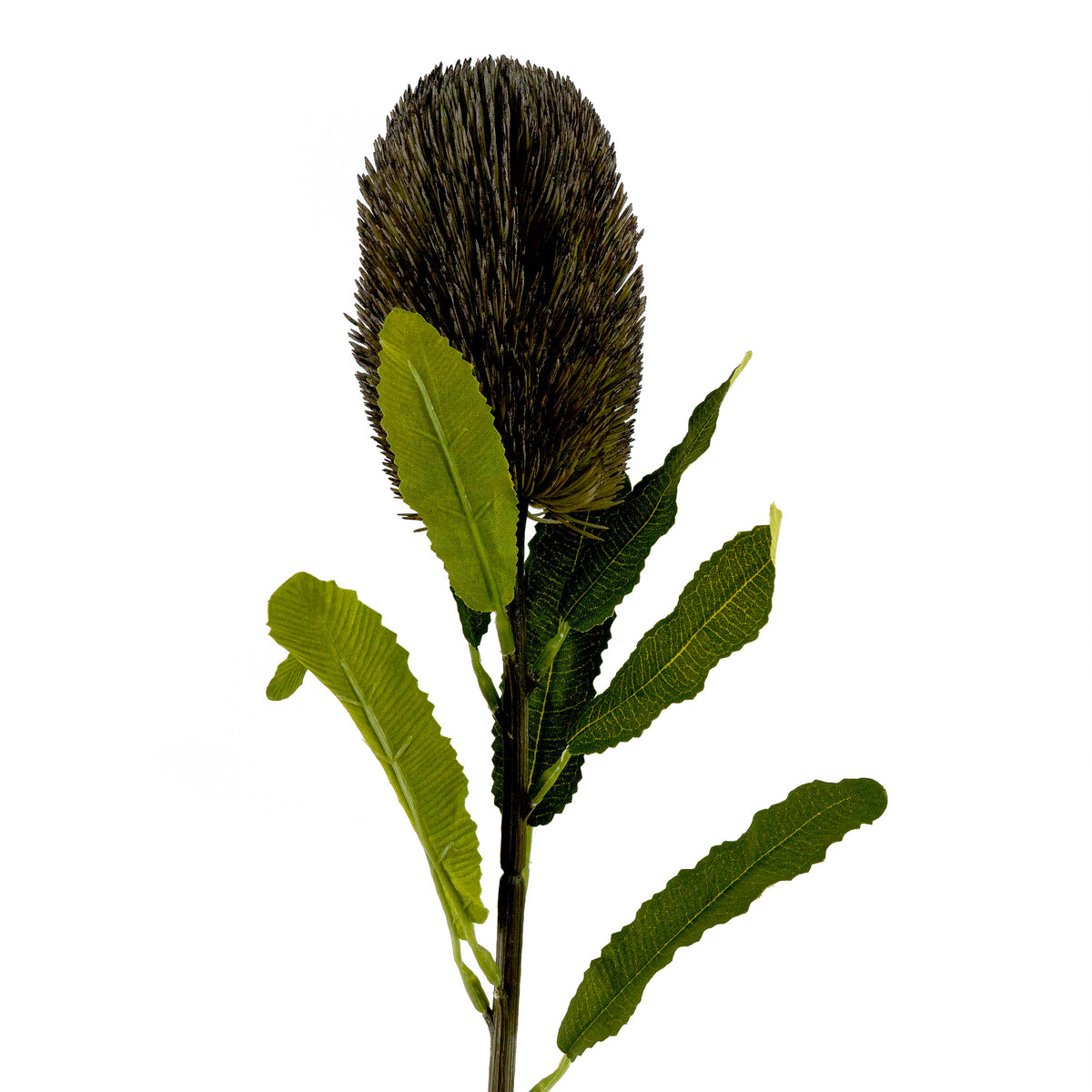 Faux Banksia Flower With Foliage in Grey