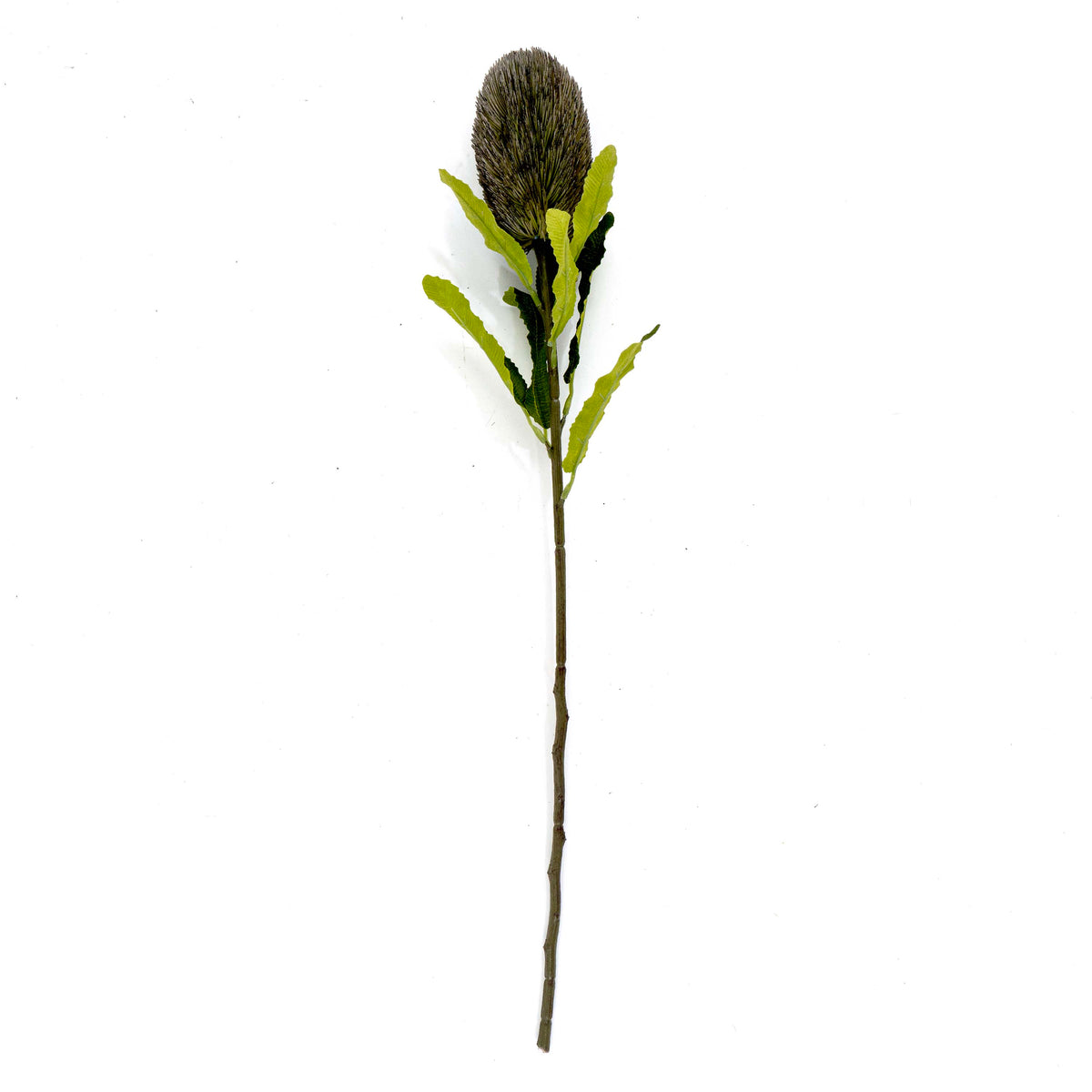Faux Banksia Flower With Foliage in Grey
