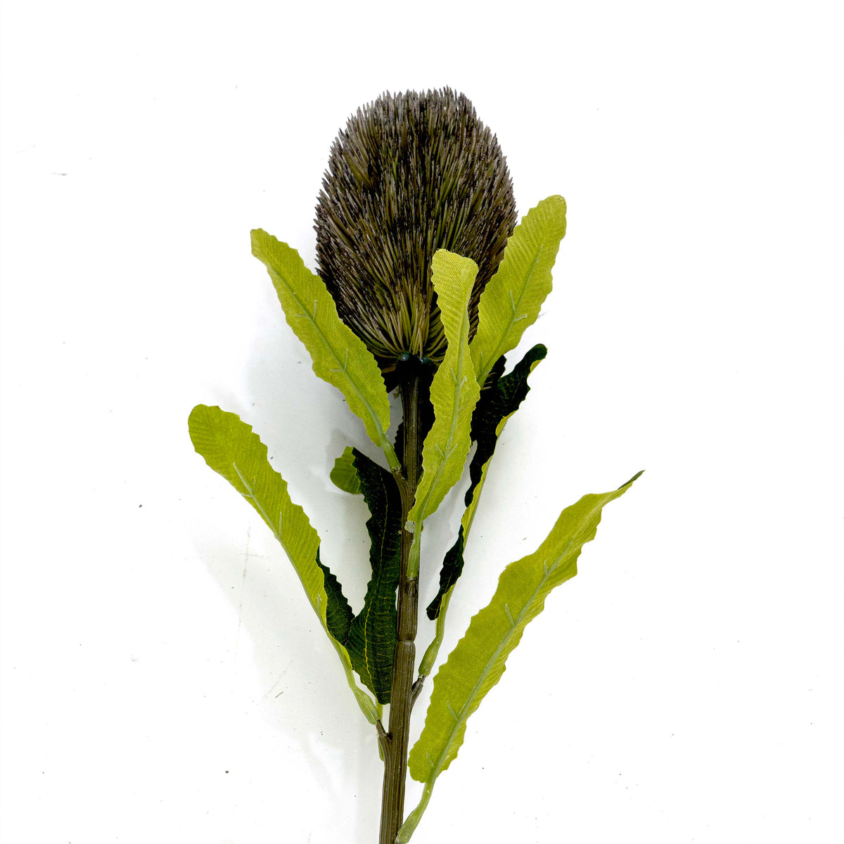 Faux Banksia Flower With Foliage in Grey