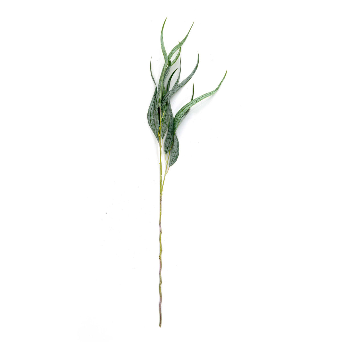 Faux Willow Eucalyptus