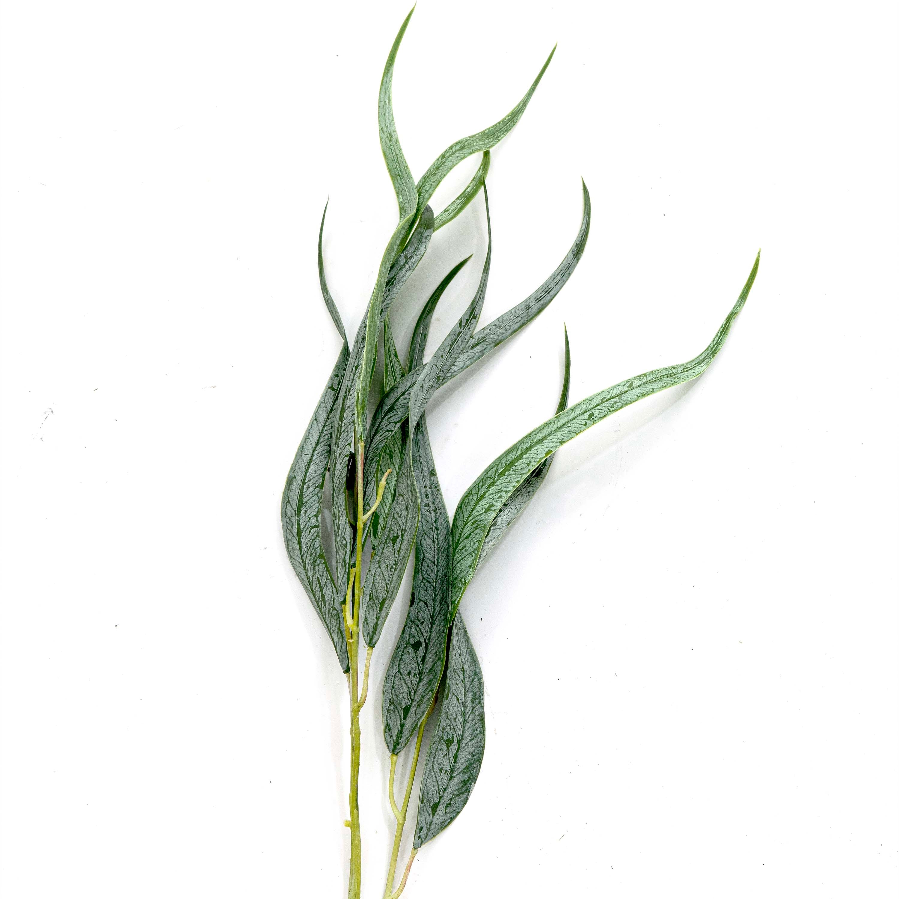 Faux Willow Eucalyptus