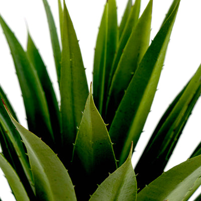 Faux Yucca Green Plant