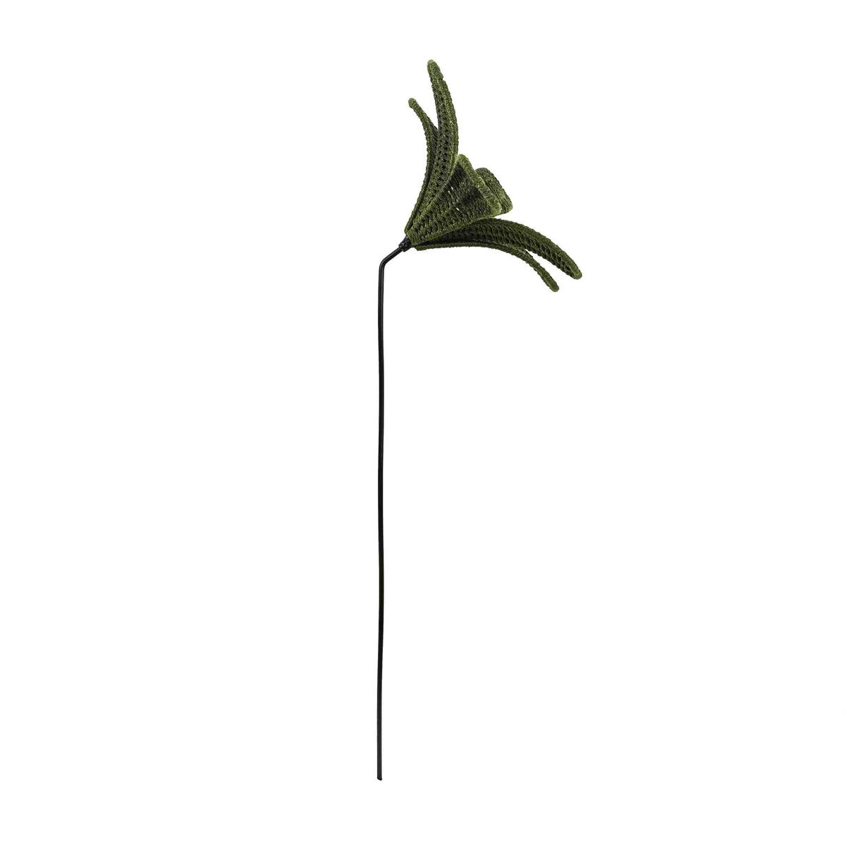 Bloom Patio Olive Flower Classic