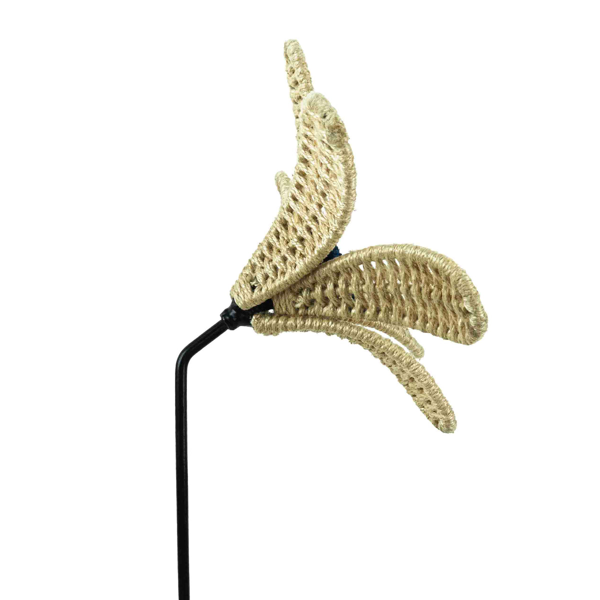 Bloom Patio Lily White Flower Classic