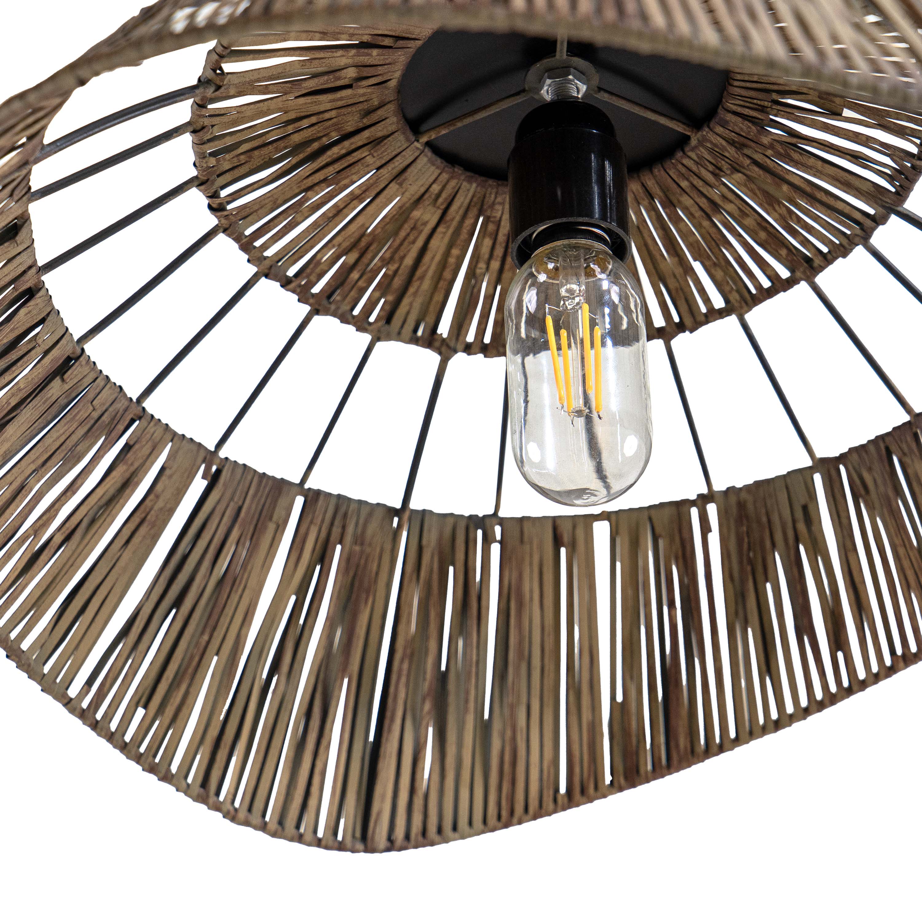 Tropical Waves Pendant Light