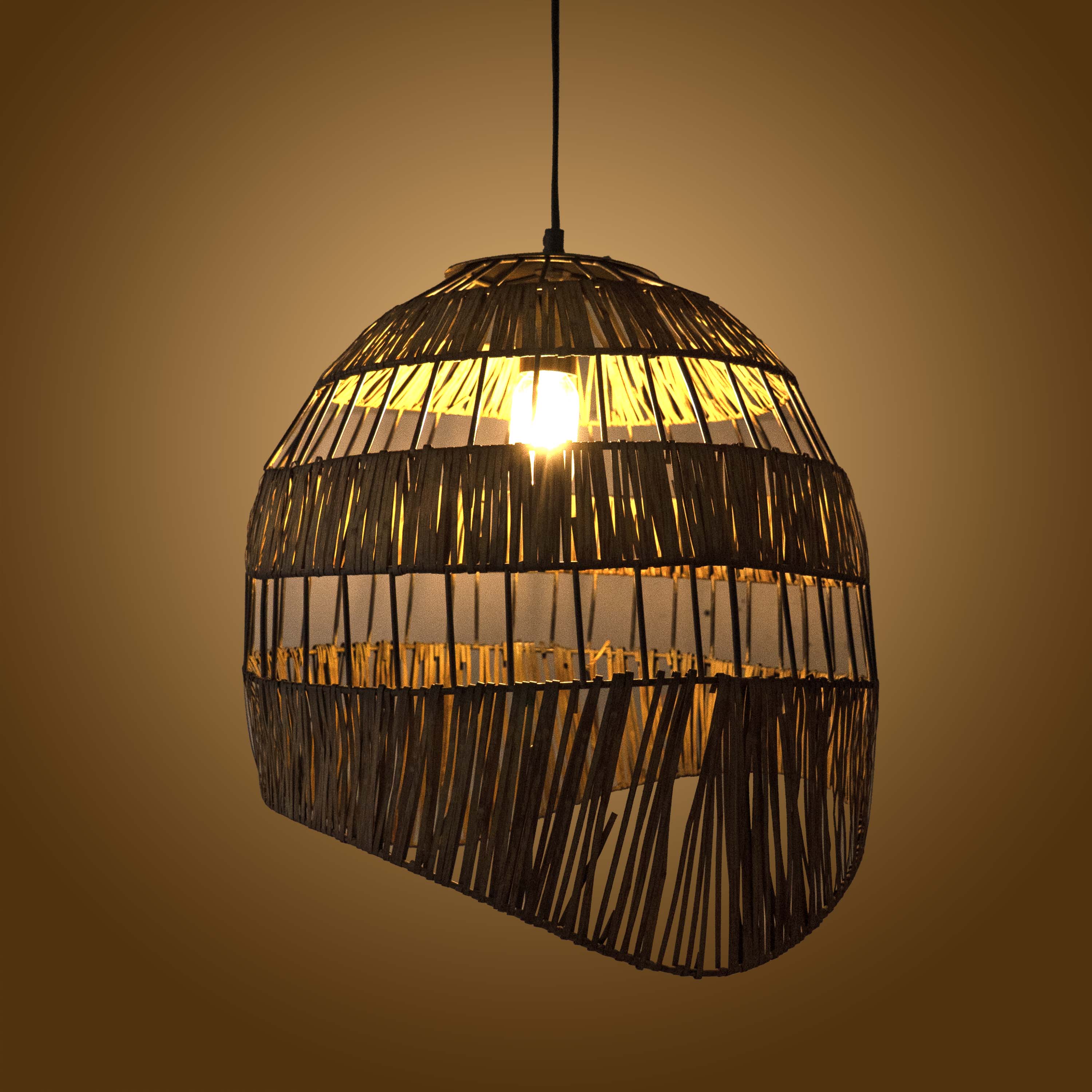 Parabola Pendant light