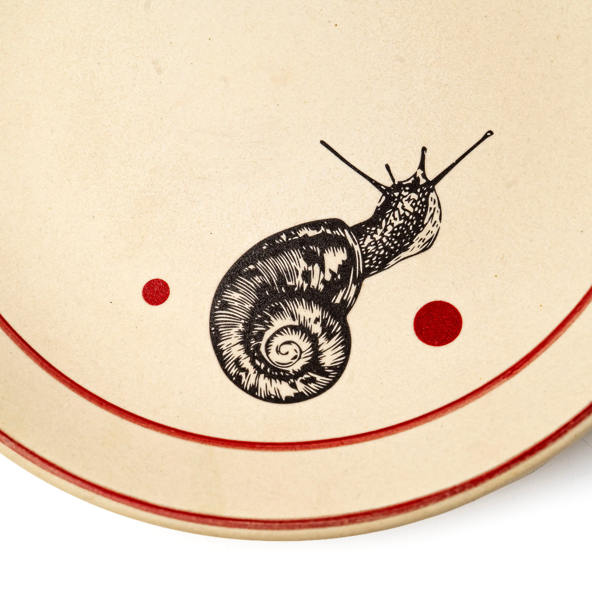 SNAIL COLLECTION DINNER PLATES