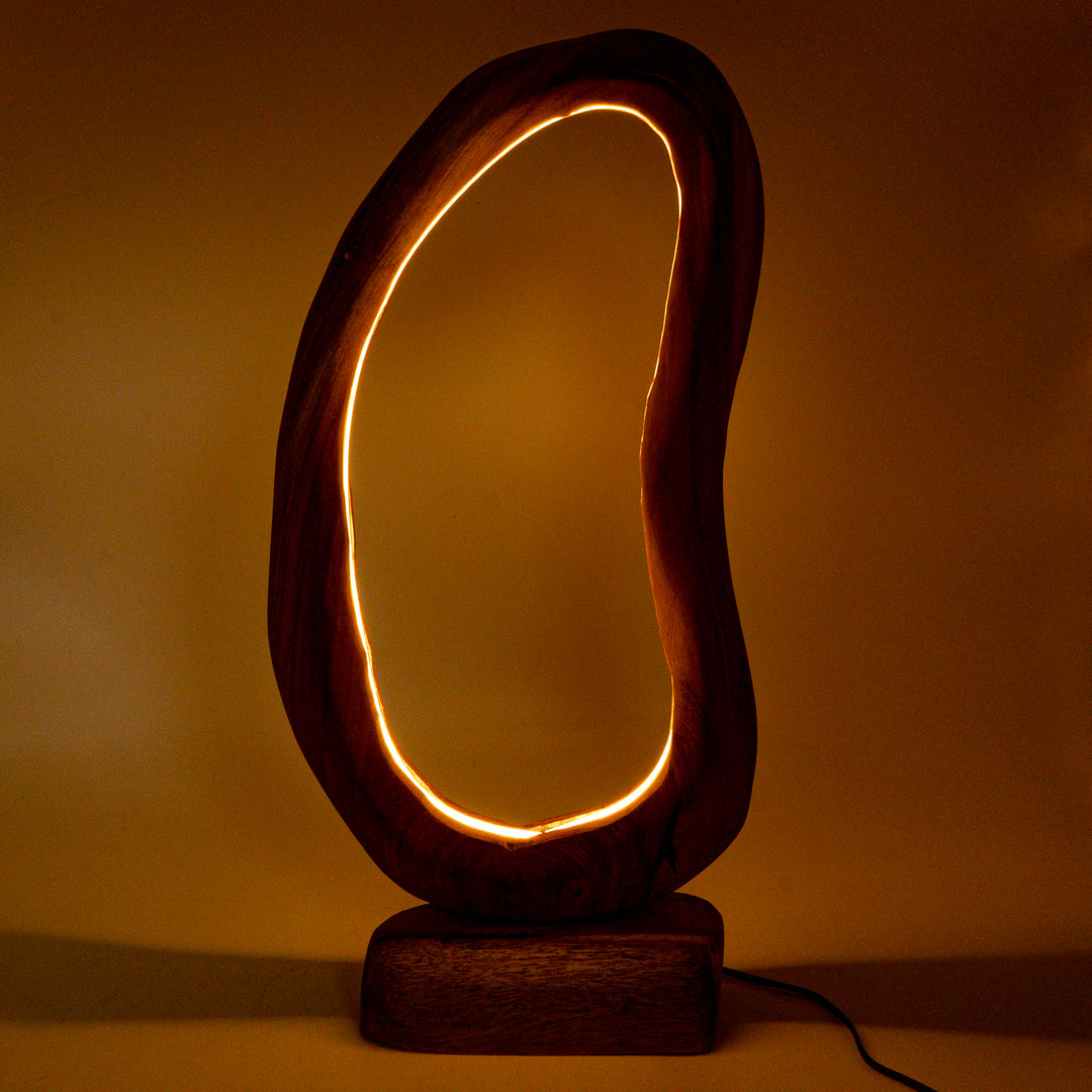 Vionli Live Edge U-Frame Mirror with Light