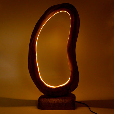Vionli Live Edge U-Frame Mirror with Light