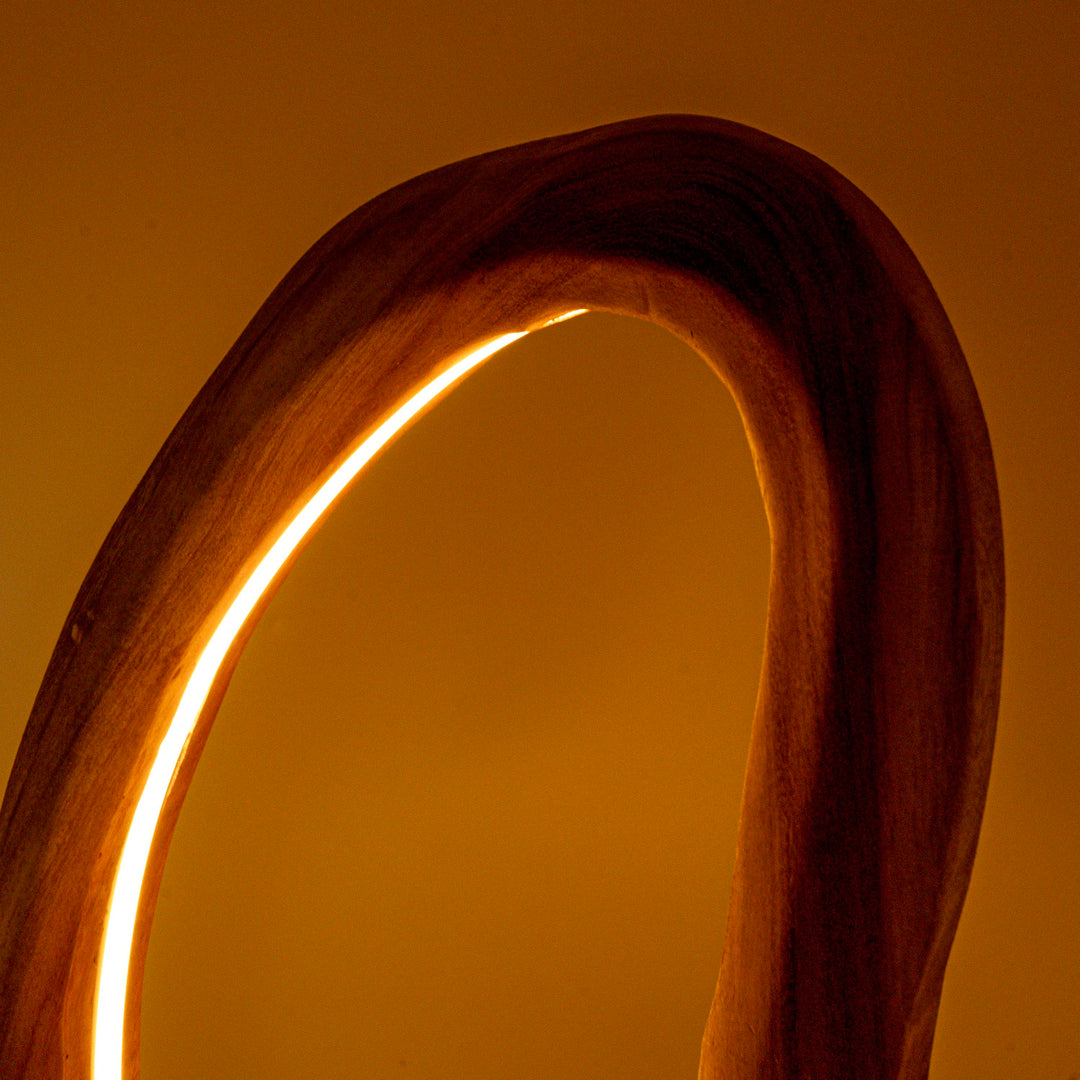 Vionli Live Edge U-Frame Mirror with Light