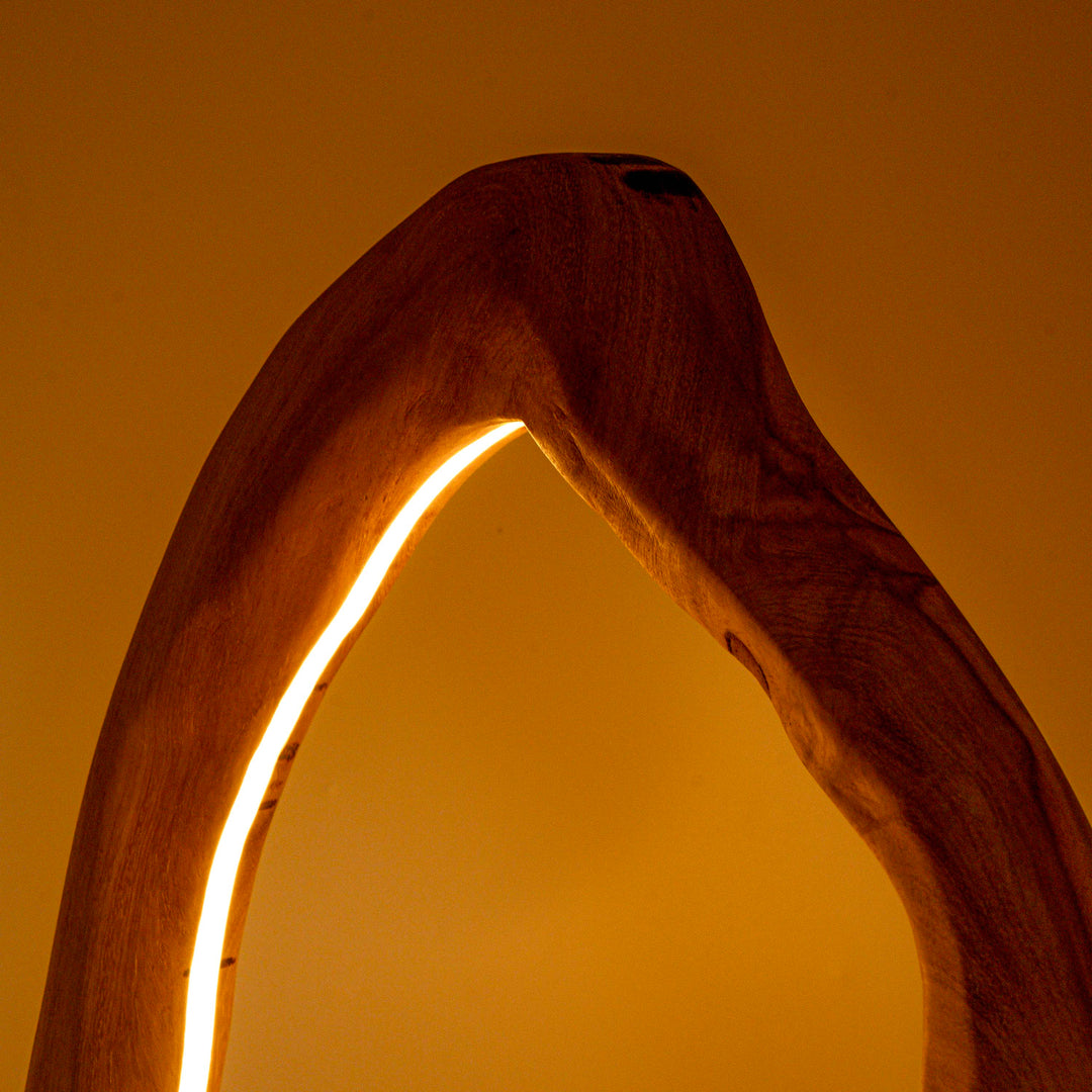 Nextel Live Edge Frame Curvy Table Lamp