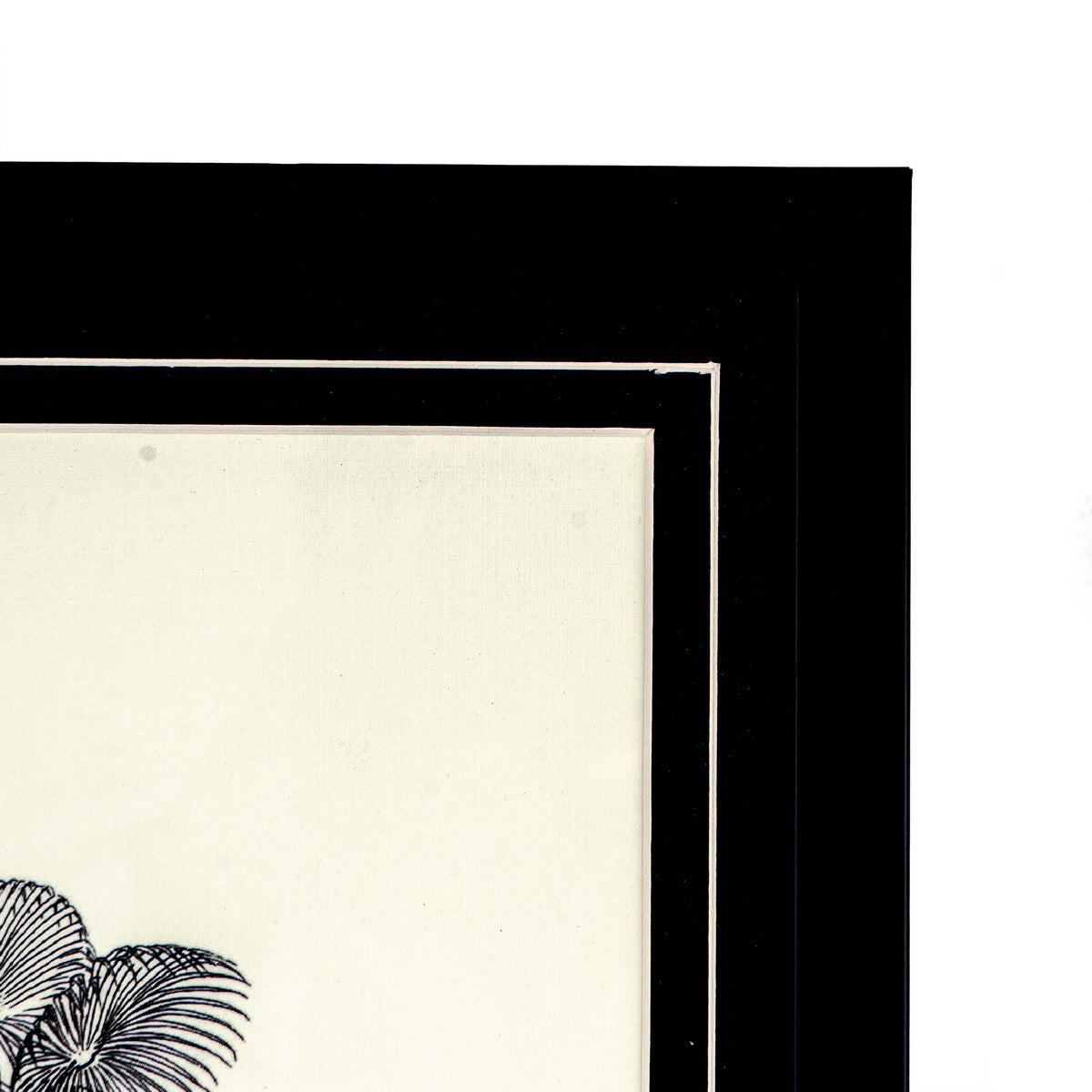 Tropical Print- Mauritia carana Frame