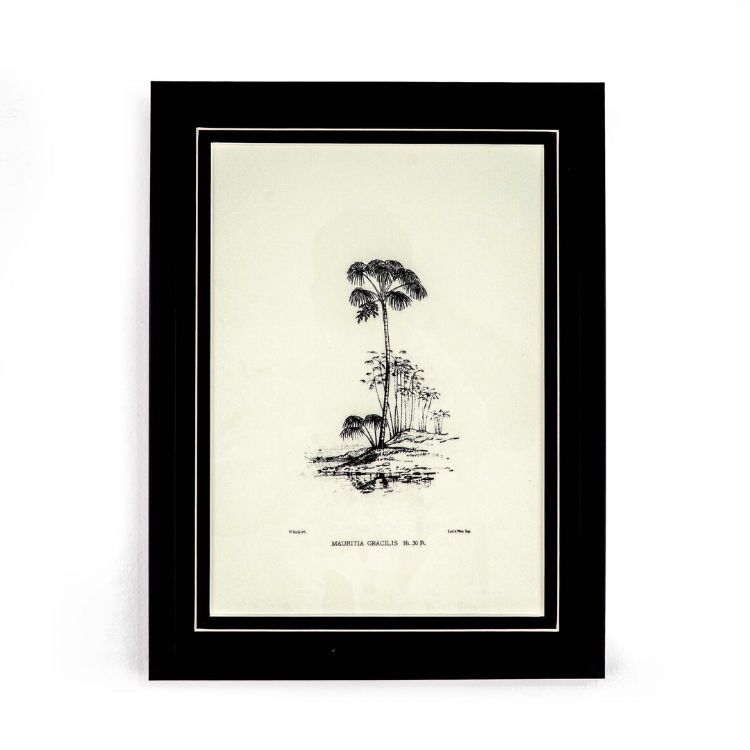 Tropical Print- Mauritia Gracilis Frame